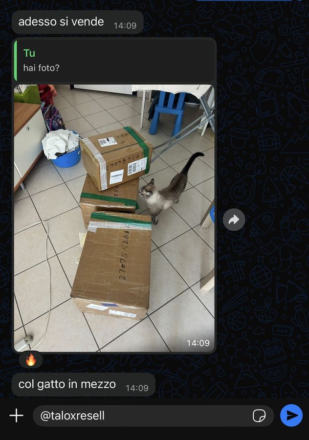 Recensione di uno studente Talox Resell